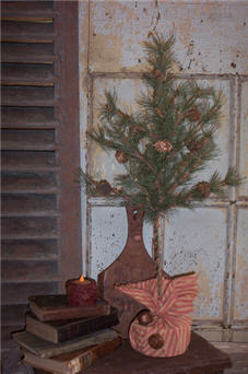 Tall Tree-