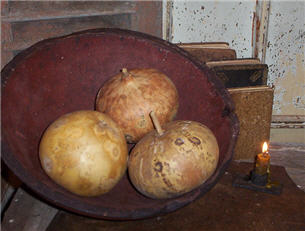 Apple Gourds - Natural Asst. Sizes-