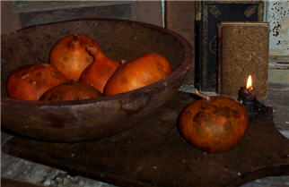 Pumpkin Gourd  Cheese Wheel - Asst Sizes-