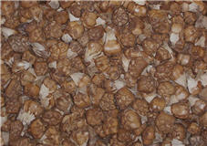 Kiya Pods Natural-drieds, 