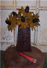 Black Eyed Susan-