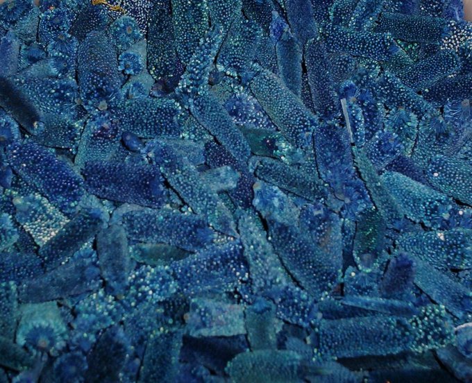 Babu - 8 oz. Blue-blue, babu