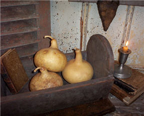 Cone Gourds - Natural - Asst. Sizes-