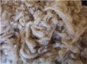 White Wool Roving - 8 oz. Creme/White-wool, roving, creme, white