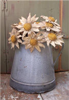 Daisies-