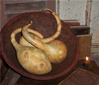 Dipper Gourds - Natural - Extra Large-