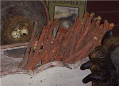 Dried Carrots in Grass-carrots, grass, 
