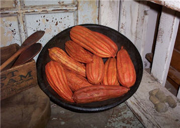 Jhinga Pods - Orange-orange, jhinga, cinnamon, pumpkin, spice, pods