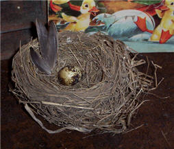 Birds Nest With Feathers-