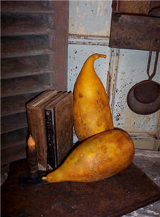 Papaya Gourds - Extra Large Autumn Gold-