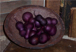 Pear Gourds - Eggplant - Asst. Sizes-