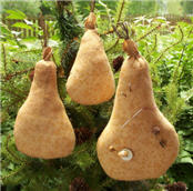 Pear Ornaments-