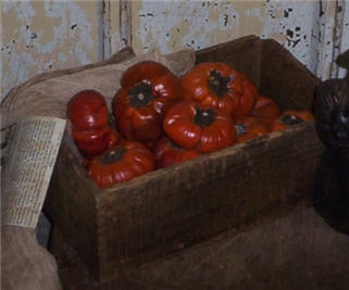 Pepper Pumpkins-