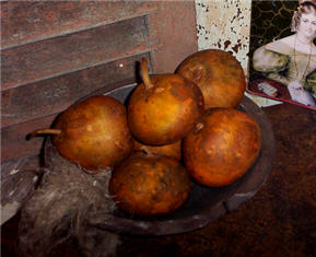 Pumpkin Gourds - Persimon Russet Set/6-