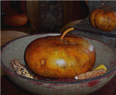 Pumpkin Gourds-pumpkin, gourd, fall