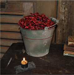Ring Pods - Red-