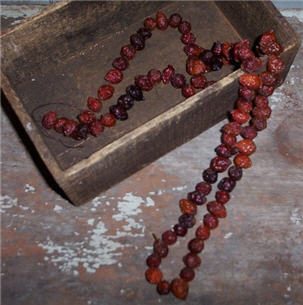 Rosehip Garland-rosehip, rose, hip, garland