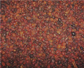 Scented Rosehip Potpourri-