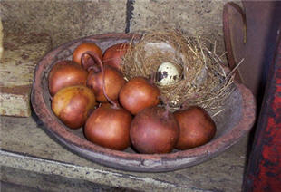 Brick Apple Gourds - Small-apple, brick, red, dried