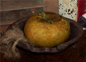 Pumpkin Gourds -  Green-