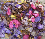 Spring Rain Potpourri-