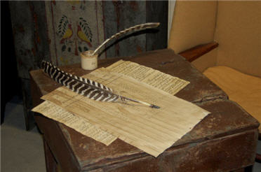 Turkey Quill-