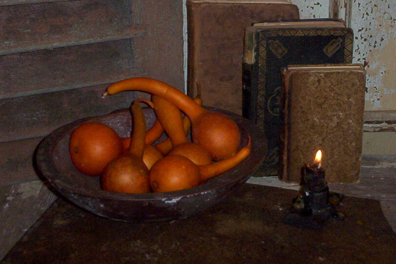 Dipper Gourd - Pumpkin - Set/6