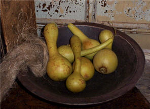 Dipper Gourds - Spring Green - Asst. Sizes