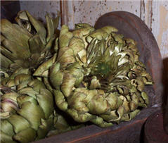 Artichokes - Dried Jumbo