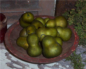Pear Gourds - Olive - Asst. Sizes
