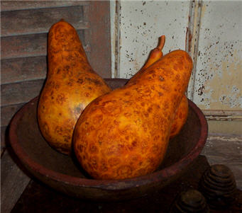Papaya Gourd - Pumpkin