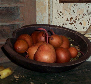 Pear Gourds - Brick Red - Asst. Sizes