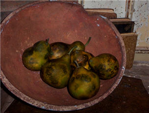 Pear Gourds - Speckled Olive set/6