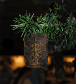 Springerle Christmas Tree Ornament