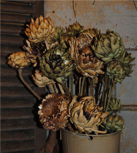 Artichokes On Stems